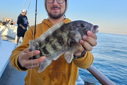 Person on boat holding a fish, wearing a yellow hoodie and beanie, with ocean in the background.