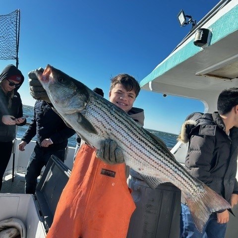 Person in orange overalls holding a large striped fish on a boat.