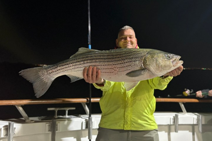 Person on boat holding large fish at night.