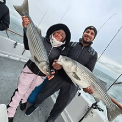 Two people on a boat holding large striped bass fish.