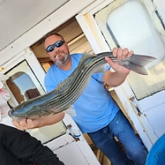 Person holding a large fish with stripes on a boat.