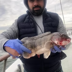 Person holding a large fish on a boat, wearing a hooded jacket and blue gloves.
