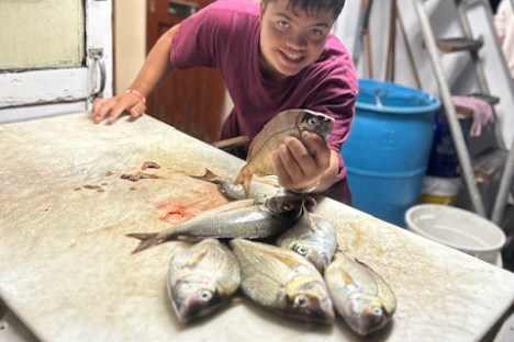 Person holding fish on a counter with more fish, on a boat.