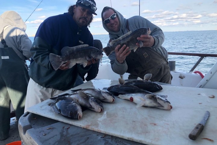 Two men holding fish on a boat with a cutting board and more fish.